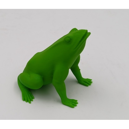 Exemple d'impression d'une grenouille avec le filament ABS Vert clair 1.75mm 3DFilTech